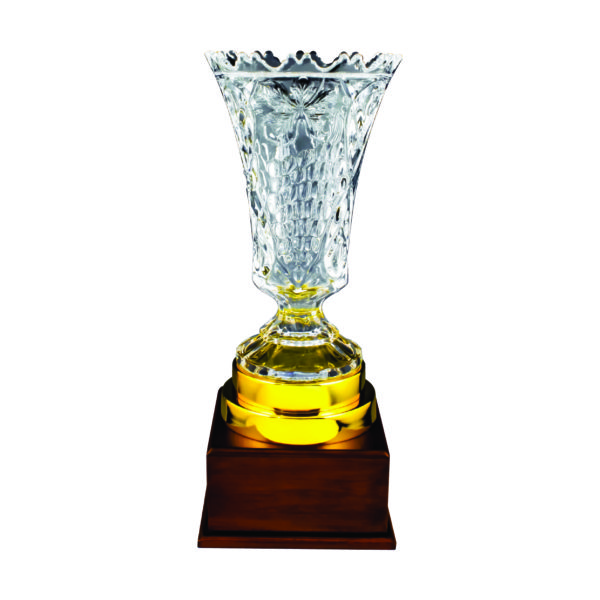 Crystal Vase Trophies CTICV132 – Exclusive Crystal Vase Trophy | Clazz Trophy Supplier Malaysia