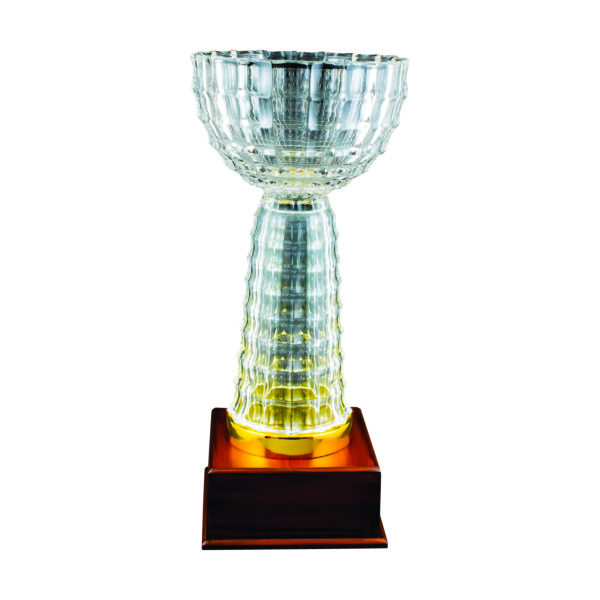 Crystal Vase Trophies CTICV146 – Exclusive Crystal Vase Trophy | Clazz Trophy Supplier Malaysia