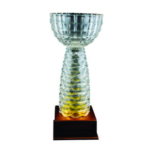 Crystal Vase Trophies CTICV147 – Exclusive Crystal Vase Trophy | Clazz Trophy Supplier Malaysia