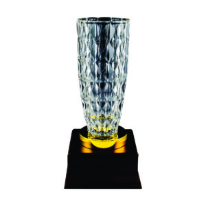 Crystal Vase Trophies CTICV603 – Exclusive Crystal Vase Trophy | Clazz Trophy Supplier Malaysia