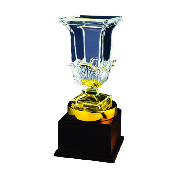 Crystal Vase Trophies CTICV133 – Exclusive Crystal Vase Trophy | Clazz Trophy Supplier Malaysia