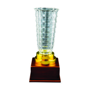 Crystal Vase Trophies CTICV151A – Crystal Vase Trophy | Clazz Trophy Supplier Malaysia