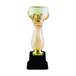 Crystal Vase Trophies CTICV609 – Exclusive Crystal Vase Trophy | Clazz Trophy Supplier Malaysia