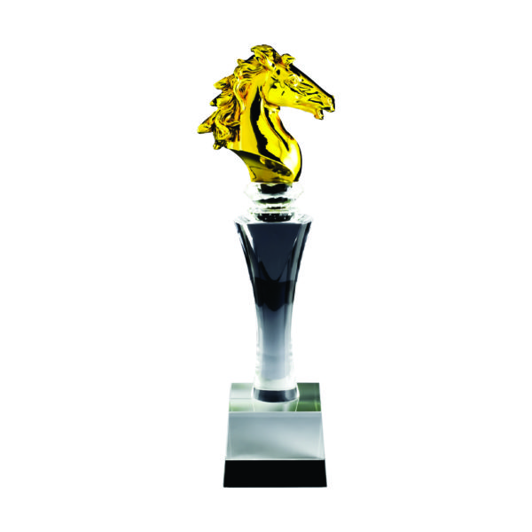 Beautiful Crystal Trophies CTICT508 – Exclusive Crystal Trophy | Trophy Supplier at Clazz Trophy Malaysia