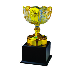 Crystal Vase Trophies CTICV059 – Exclusive Crystal Vase Trophy | Clazz Trophy Supplier Malaysia