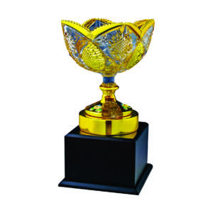 Crystal Vase Trophies CTICV060 – Exclusive Crystal Vase Trophy | Clazz Trophy Supplier Malaysia