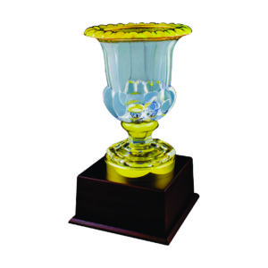 Crystal Vase Trophies CTICV088 – Exclusive Crystal Vase Trophy | Clazz Trophy Supplier Malaysia