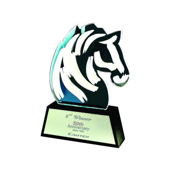 Custom Made Acrylic Plaques CTEAA312 – Exclusive Acrylic Award | Clazz Trophy Supplier Malaysia