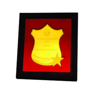 Custom Made Acrylic Plaques CTIWW609 – Exclusive Plaque With Acrylic Stand | Trophy Supplier at Clazz Trophy Malaysia