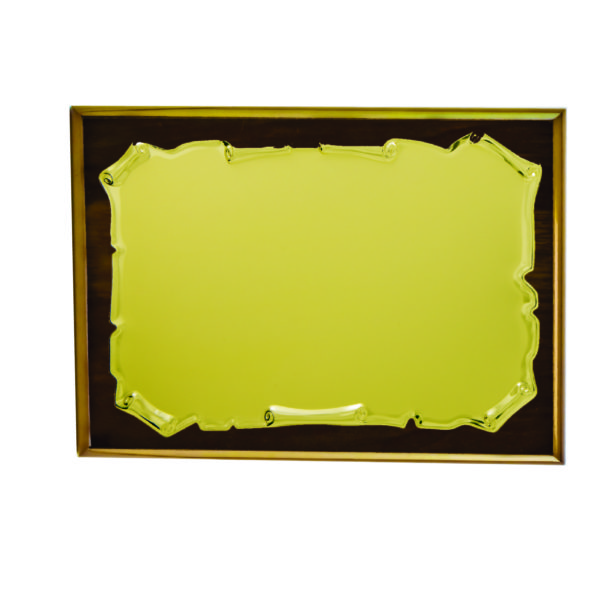 Wooden Plaques with Frames CTISP005 – Exclusive Special Wooden Plaque | Clazz Trophy Supplier Malaysia