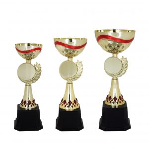 Acrylic Bowl Trophies CTAC4000 – Acrylic Bowl Trophy | Trophy Supplier at Clazz Trophy Malaysia
