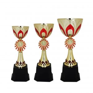 Acrylic Bowl Trophies CTAC4003 – Acrylic Bowl Trophy | Trophy Supplier at Clazz Trophy Malaysia