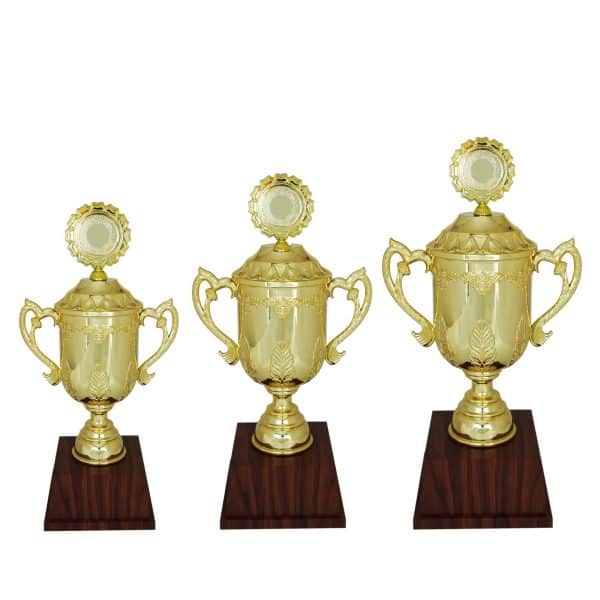 Beautiful Acrylic Trophies CTAC4006 – Acrylic Trophy | Clazz Trophy Supplier Malaysia