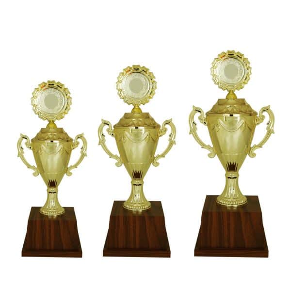 Beautiful Acrylic Trophies CTAC4007 – Acrylic Trophy | Clazz Trophy Supplier Malaysia