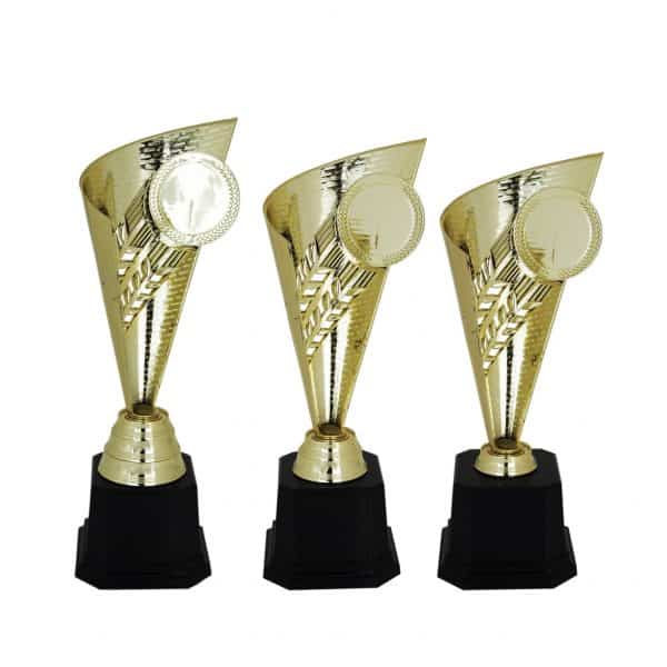 Star Acrylic Trophies CTAC4013 – Acrylic Star Trophy | Clazz Trophy Supplier Malaysia