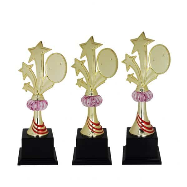 Star Acrylic Trophies CTAC4014 – Acrylic Star Trophy | Clazz Trophy Supplier Malaysia