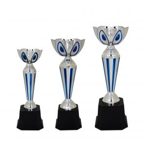 Acrylic Bowl Trophies CTAC4019 – Acrylic Bowl Trophy | Trophy Supplier at Clazz Trophy Malaysia