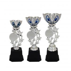 Acrylic Bowl Trophies CTAC4023 – Acrylic Bowl & Star Trophy | Trophy Supplier at Clazz Trophy Malaysia