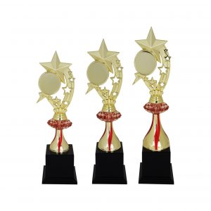 Star Acrylic Trophies CTAC4025 – Acrylic Star Trophy | Trophy Supplier at Clazz Trophy Malaysia