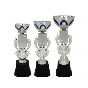 Acrylic Bowl Trophies CTAC4034 – Acrylic Bowl & Star Trophy | Trophy Supplier at Clazz Trophy Malaysia
