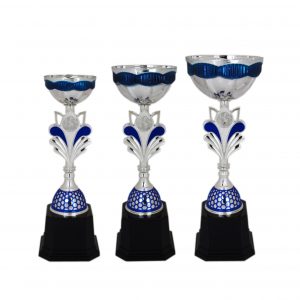 Acrylic Bowl Trophies CTAC4035 – Acrylic Bowl Trophy | Clazz Trophy Supplier Malaysia