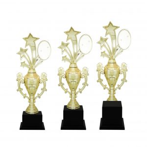 Star Acrylic Trophies CTAC4079 – Acrylic Star Trophy | Trophy Supplier at Clazz Trophy Malaysia