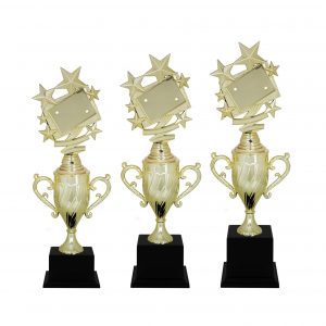 Star Acrylic Trophies CTAC4080 – Acrylic Star Trophy | Trophy Supplier at Clazz Trophy Malaysia