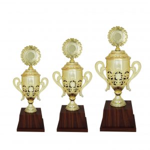 Beautiful Acrylic Trophies CTAC4084 – Acrylic Trophy | Clazz Trophy Supplier Malaysia