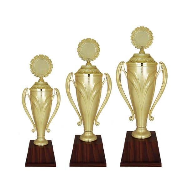 Beautiful Acrylic Trophies CTAC4090 – Acrylic Trophy | Clazz Trophy Supplier Malaysia