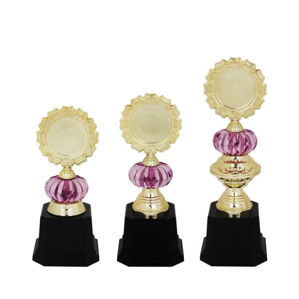 Beautiful Acrylic Trophies CTAC4092 – Acrylic Trophy | Clazz Trophy Supplier Malaysia