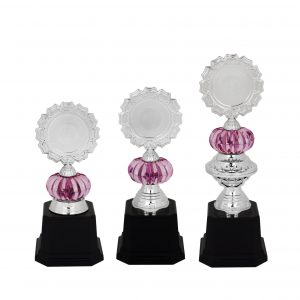 Beautiful Acrylic Trophies CTAC4093 – Acrylic Trophy | Clazz Trophy Supplier Malaysia