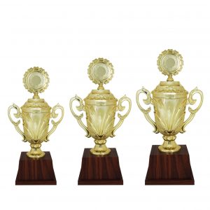 Beautiful Acrylic Trophies CTAC4094 – Acrylic Trophy | Clazz Trophy Supplier Malaysia