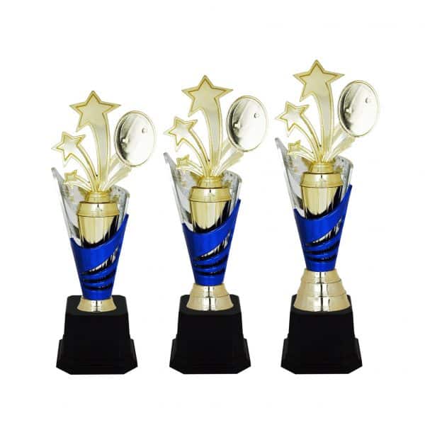 Star Acrylic Trophies CTAC4095 – Acrylic Star Trophy | Clazz Trophy Supplier Malaysia