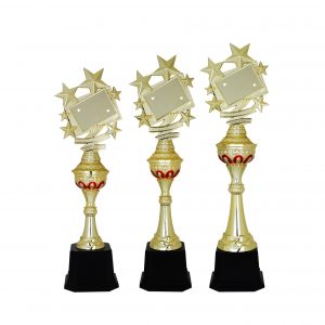 Star Acrylic Trophies CTAC4103 – Acrylic Star Trophy | Clazz Trophy Supplier Malaysia