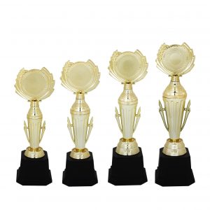 Beautiful Acrylic Trophies CTAC4114 – Acrylic Trophy | Clazz Trophy Supplier Malaysia