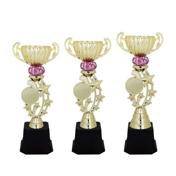 Star Acrylic Trophies CTAC4119 – Acrylic Star Trophy | Clazz Trophy Supplier Malaysia