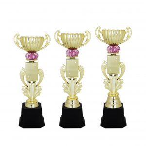 Star Acrylic Trophies CTAC4120 – Acrylic Star Trophy | Clazz Trophy Supplier Malaysia