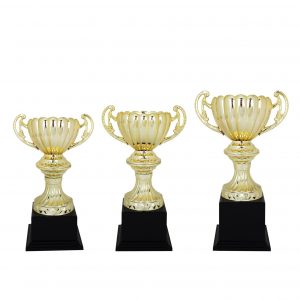 Beautiful Acrylic Trophies CTAC4124 – Acrylic Trophy | Clazz Trophy Supplier Malaysia