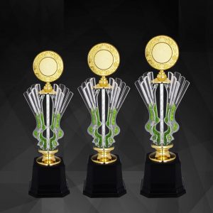 Beautiful Acrylic Trophies CTAC4130 – Acrylic Trophy | Clazz Trophy Supplier Malaysia