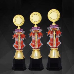 Beautiful Acrylic Trophies CTAC4131 – Acrylic Trophy | Clazz Trophy Supplier Malaysia