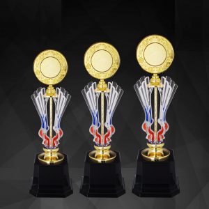 Beautiful Acrylic Trophies CTAC4132 – Acrylic Trophy | Clazz Trophy Supplier Malaysia