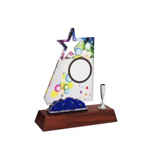 Acrylic Plaques with Pen Holders CTAC4137 – Acrylic Star Plaque | Clazz Trophy Supplier Malaysia