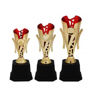 Beautiful Acrylic Trophies CTAC4181 – Acrylic Trophy | Clazz Trophy Supplier Malaysia