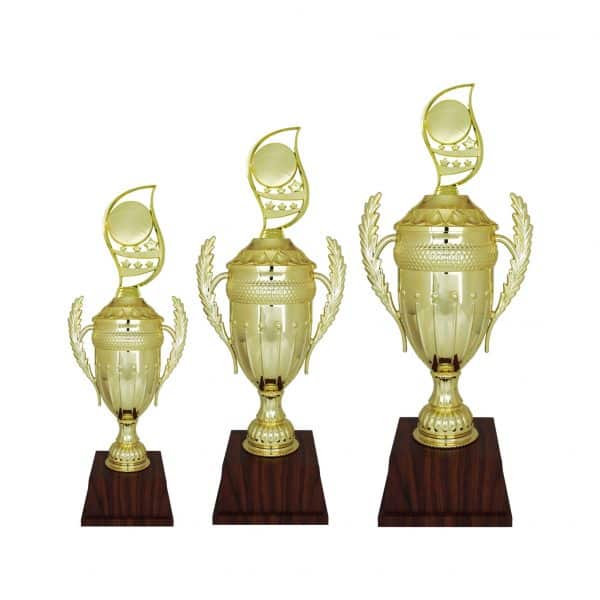 Beautiful Acrylic Trophies CTAC4206 – Acrylic Trophy | Clazz Trophy Supplier Malaysia