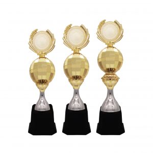 Beautiful Acrylic Trophies CTAC4214 – Acrylic Trophy | Trophy Supplier at Clazz Trophy Malaysia