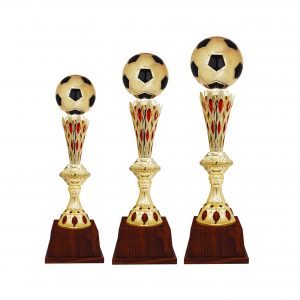 Acrylic Football Trophies CTAC4225 – Acrylic Football Trophy | Clazz Trophy Supplier Malaysia