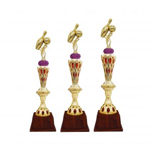 Bowling Tournament Acrylic Trophies CTAC4237 – Acrylic Bowling Trophy | Clazz Trophy Supplier Malaysia