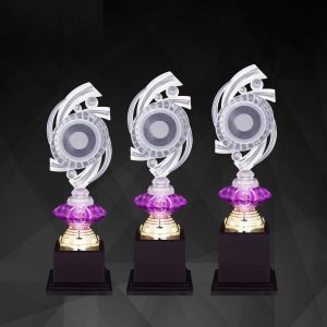 Beautiful Acrylic Trophies CTAC4245 – Acrylic Trophy | Trophy Supplier at Clazz Trophy Malaysia