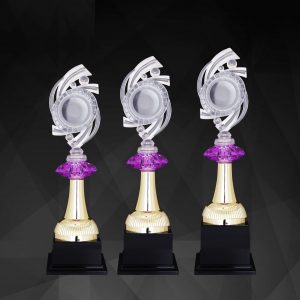 Beautiful Acrylic Trophies CTAC4246 – Acrylic Trophy | Trophy Supplier at Clazz Trophy Malaysia
