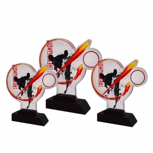 Competitive Games Acrylic Plaques CTAC4251 – Acrylic Taekwondo Plaque | Clazz Trophy Supplier Malaysia